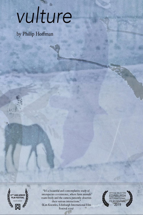 Movie poster for vulture (2019)
