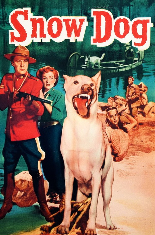 Movie poster for Snow Dog (1950)