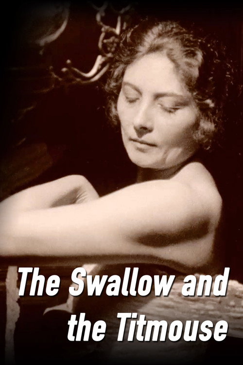 Movie poster for The Swallow and the Titmouse (1924)