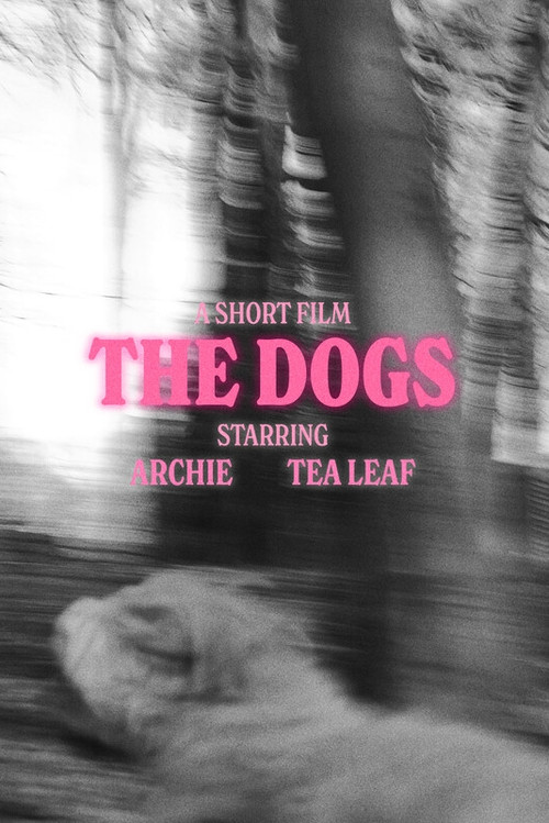 Movie poster for The Dogs (2024)