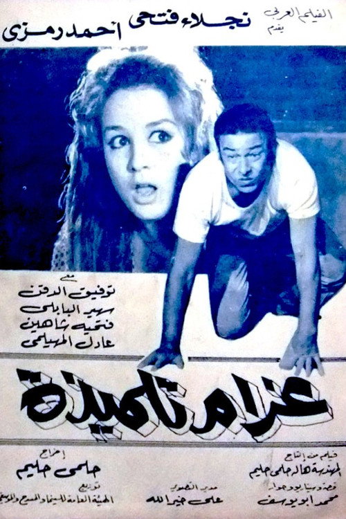 Movie poster for A Schoolgirl's Romance (1969)