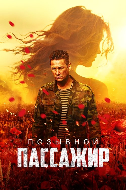 Movie poster for Call Sign "Passenger" (2024)