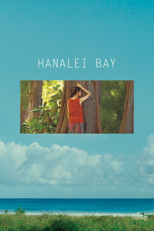 Movie poster for Hanalei Bay (2018)