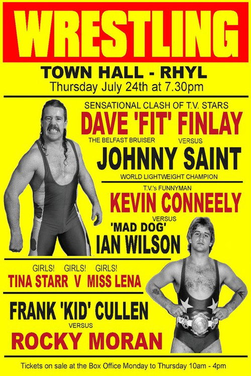 Movie poster for The Fit Finlays (2010)