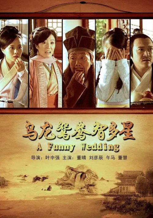 Movie poster for A Funny Wedding (2013)