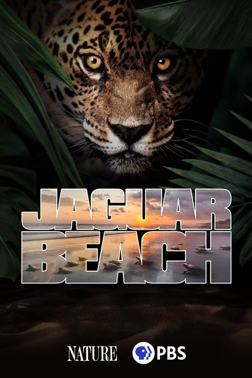 Movie poster for Jaguar Beach (2025)