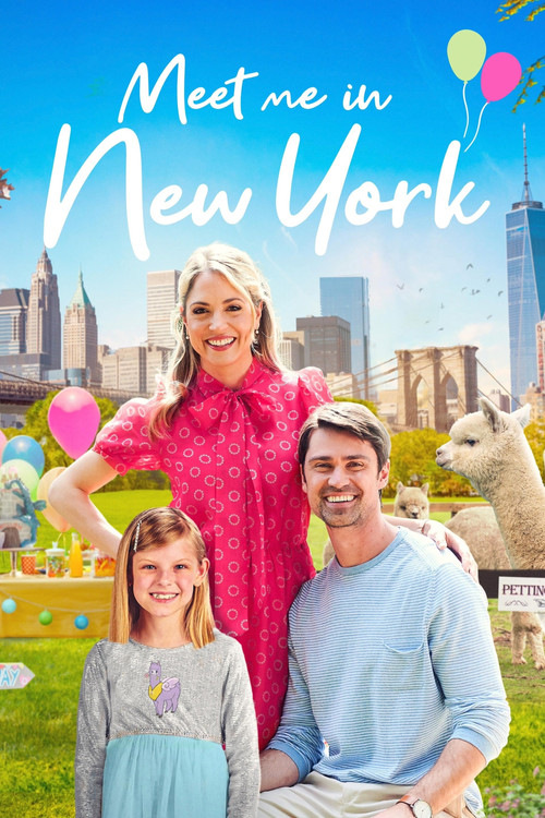 Movie poster for Meet Me in New York (2022)