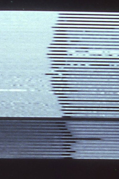 Movie poster for Stasis Series I & II I. Still Life; II. Papa's Garden (1991)