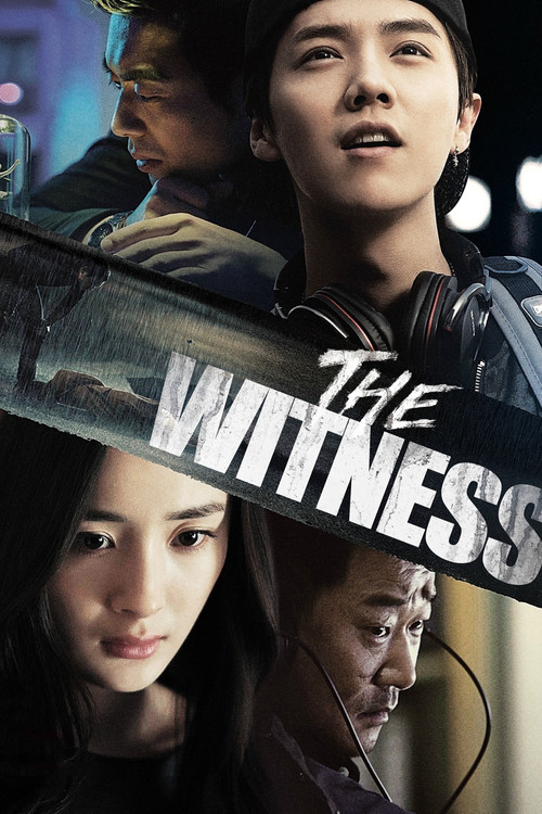Movie poster for The Witness (2015)