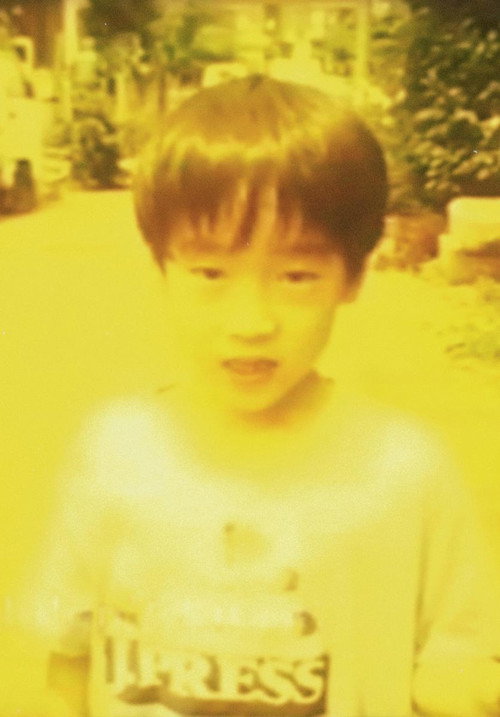 Movie poster for Dreamed Lion Dreaming (1996)