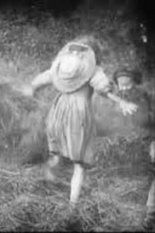 Movie poster for A Day in the Hayfields (1904)