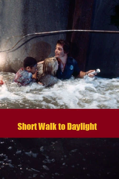 Movie poster for Short Walk to Daylight (1972)