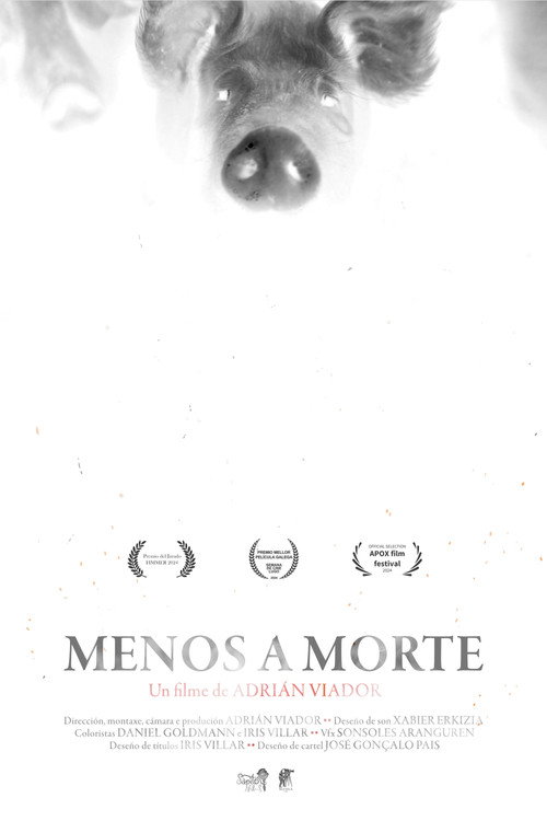 Movie poster for Menos a morte (2024)
