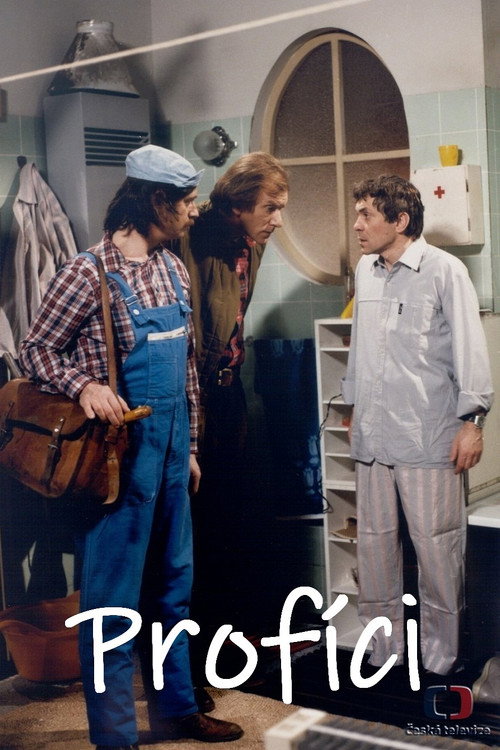 Movie poster for Profíci aneb Když nejsou lidi (1985)