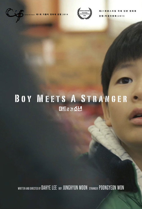 Movie poster for Boy Meets a Stranger (2014)