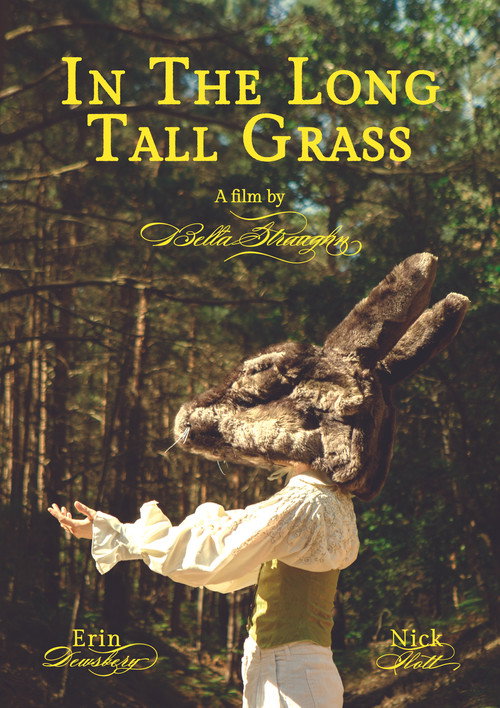 Movie poster for In The Long Tall Grass