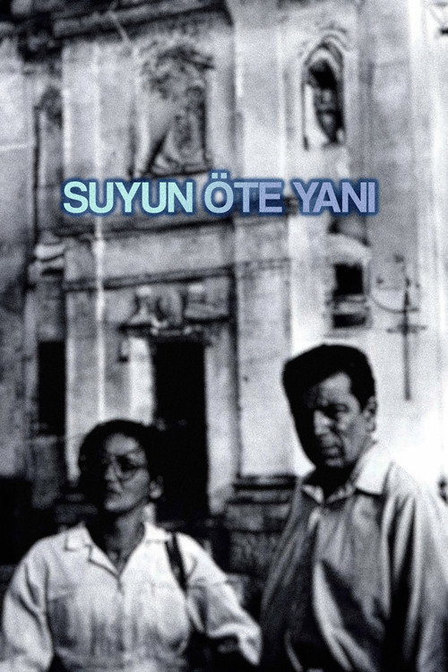 Movie poster for Suyun Öte Yanı (1991)