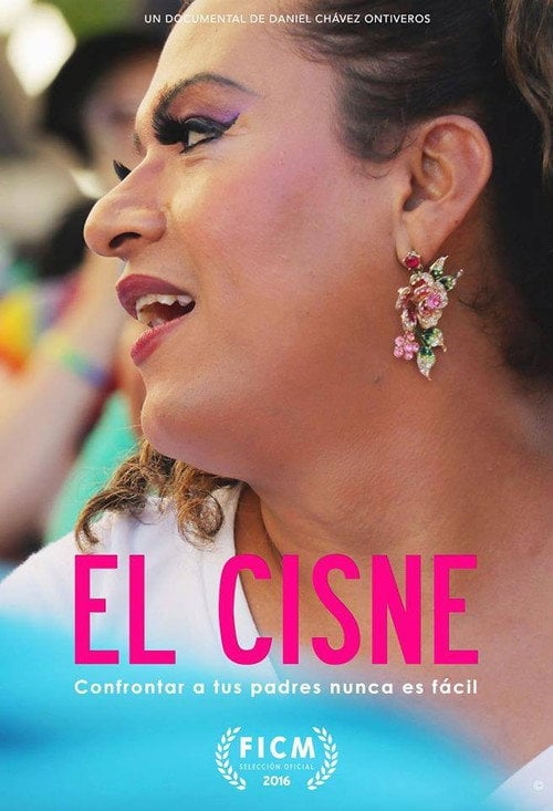 Movie poster for El Cisne (2016)