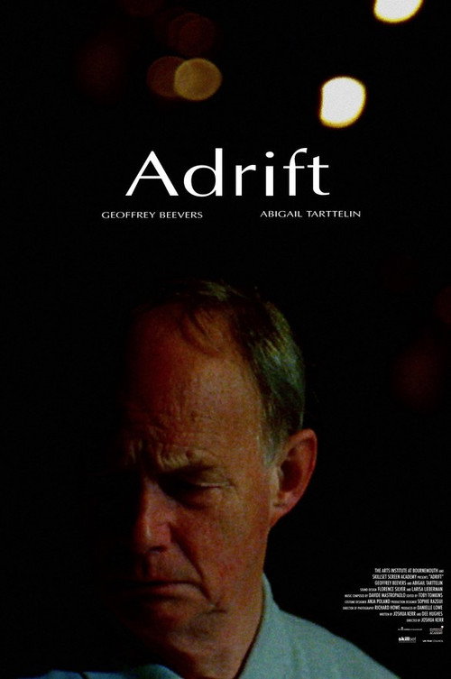 Movie poster for Adrift (2009)