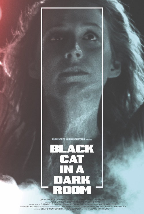 Movie poster for Black Cat in a Dark Room (2019)