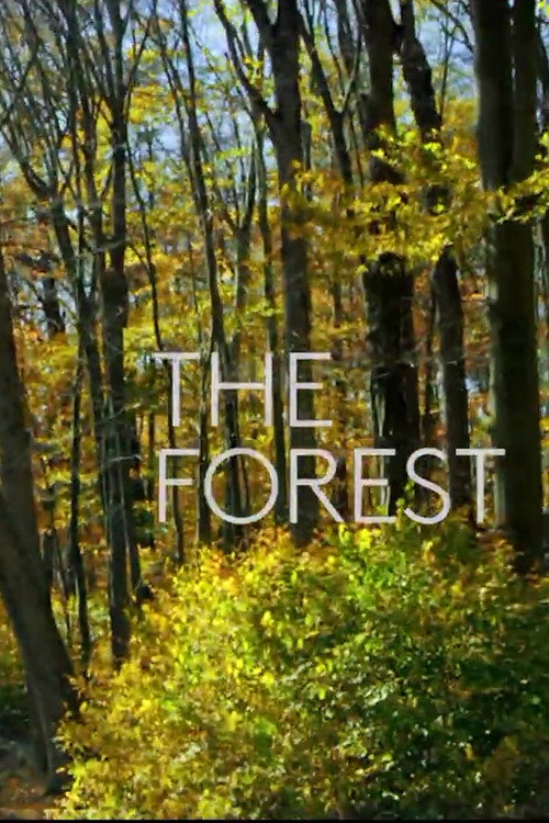 Movie poster for The Forest (2019)