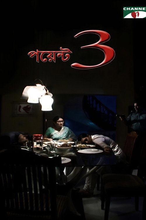 Movie poster for Point 3 (2011)