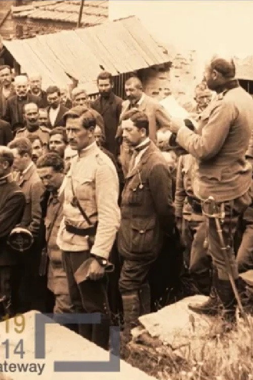 Movie poster for Funeral of Second Lieutenant Živojin Marinković (1913)