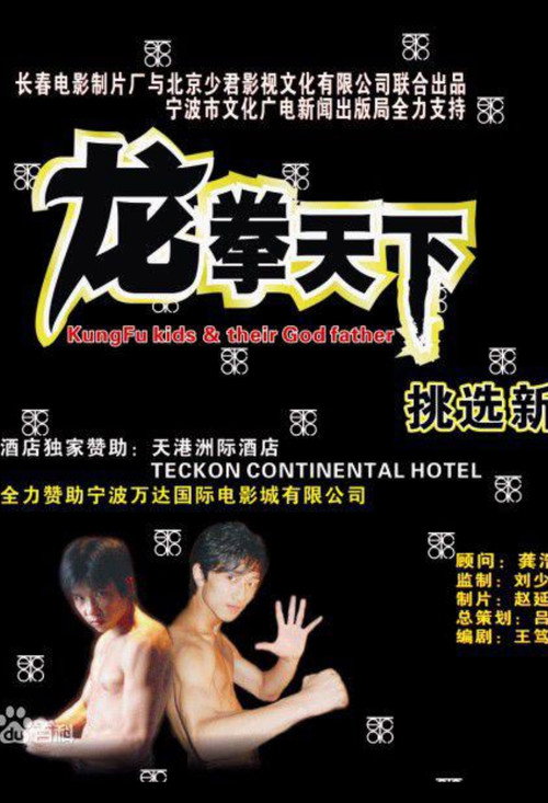 Movie poster for 龙拳天下 (2008)