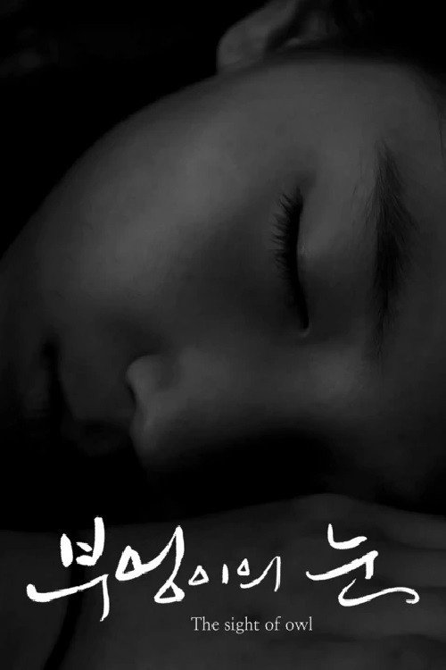 Movie poster for The Sight of Owl (2014)