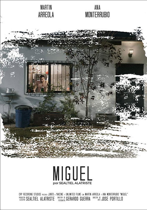 Movie poster for Miguel (2018)