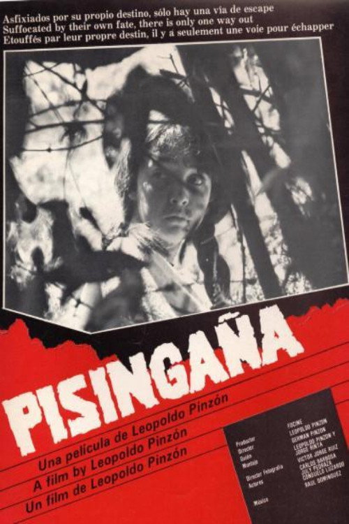 Movie poster for Pisingaña (1986)