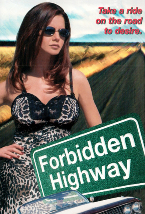 Movie poster for Forbidden Highway (2001)
