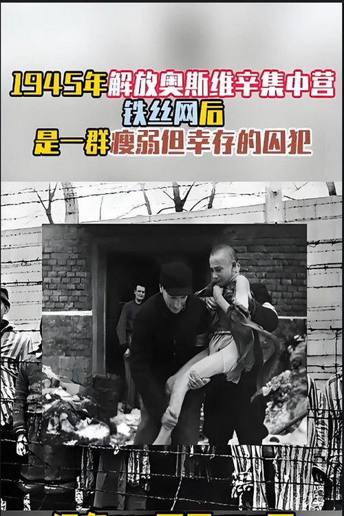 奥斯维辛集中营 poster