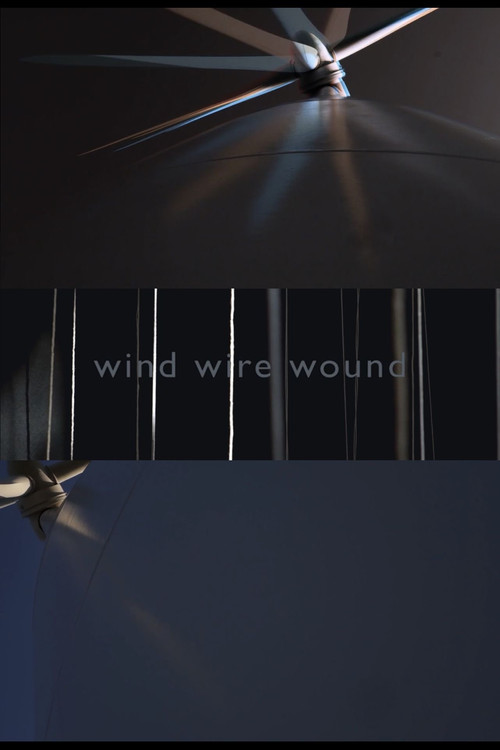 Movie poster for WIND WIRE WOUND (2018)