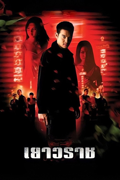 Movie poster for Bangkok China Town (2003)