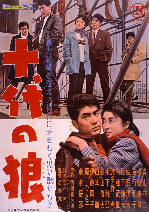 Movie poster for Teenage Wolf (1960)