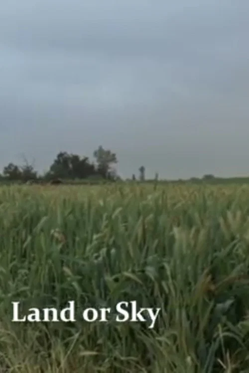 Movie poster for Land or Sky (2012)