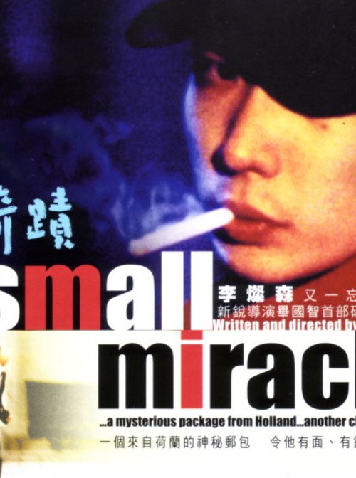 Movie poster for A Small Miracle (2001)