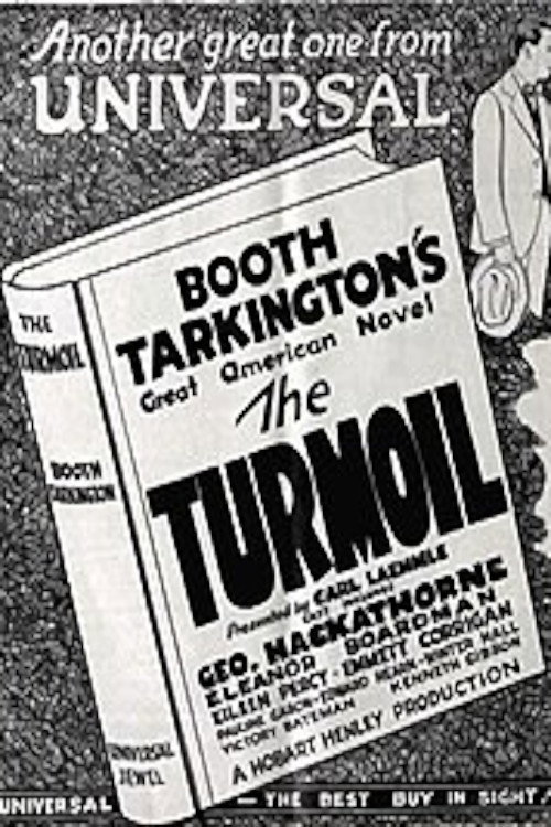 Movie poster for The Turmoil (1924)