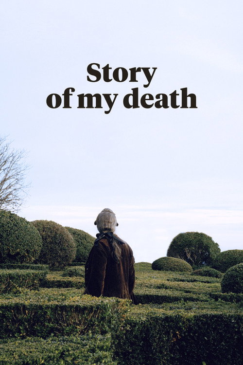 Movie poster for Story of My Death (2013)