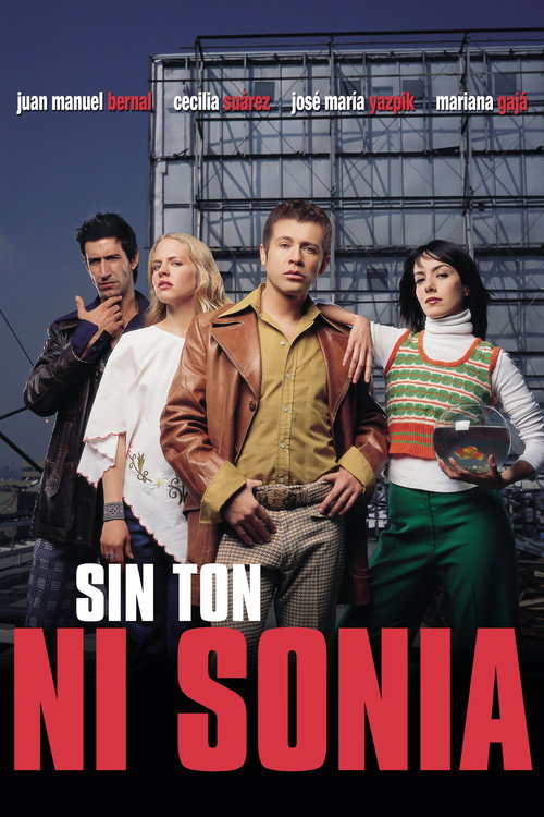 Movie poster for Without Rhyme or Reason (2003)