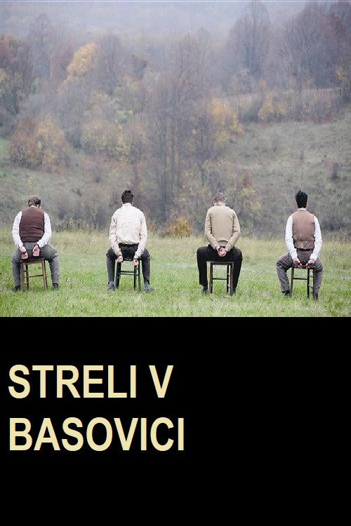 Movie poster for Shots in Basovizza (2010)