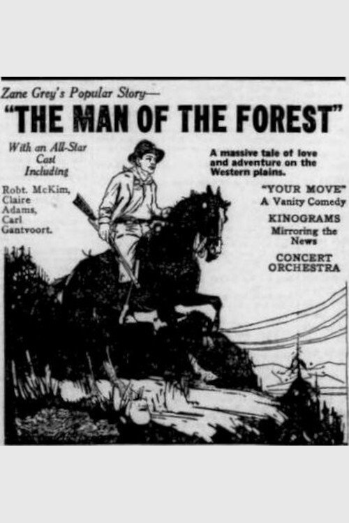 Movie poster for The Man Of The Forest (1921)
