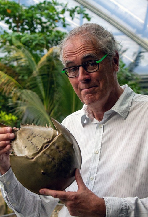 Govert naar de oorsprong van de mens poster