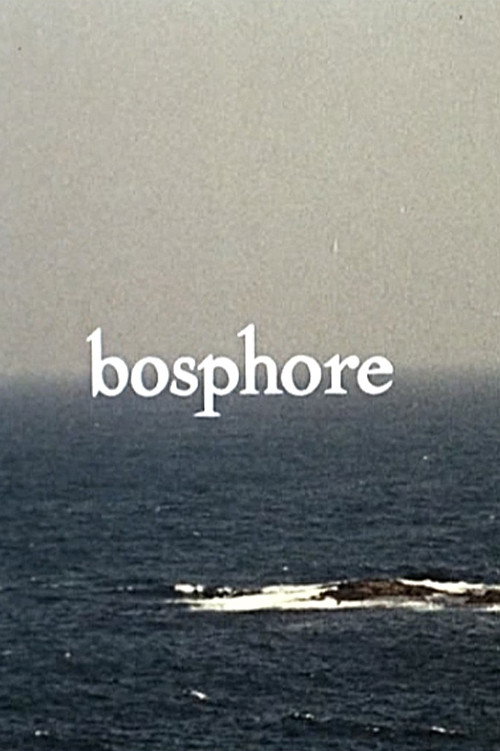 Movie poster for Bosphore (1964)