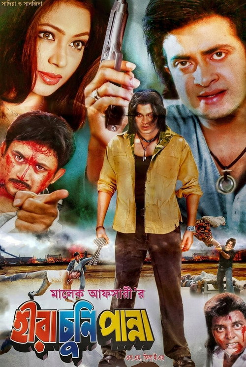Movie poster for Hira Chuni Panna (2000)