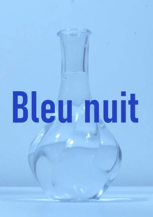 Movie poster for Bleu nuit (2026)
