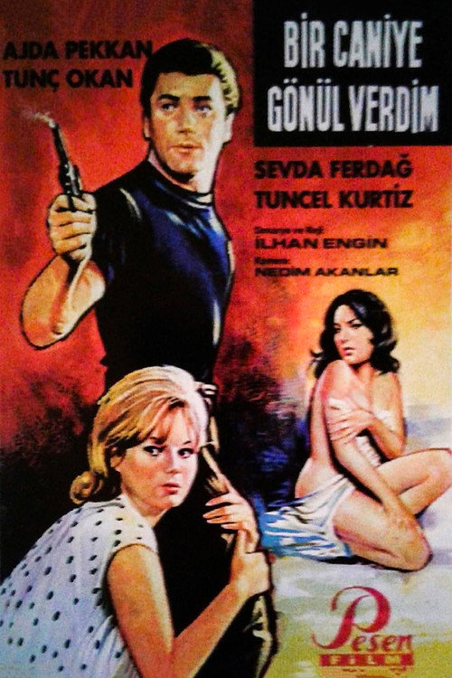 Movie poster for Bir Caniye Gönül Verdim (1965)