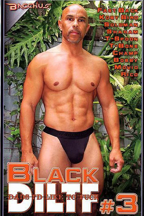 Movie poster for Black DILTF 3 (2004)
