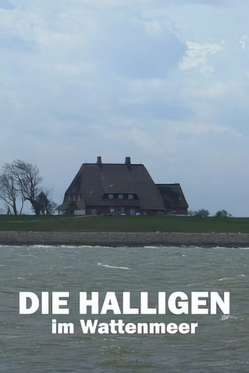 Movie poster for Die Halligen im Wattenmeer (2021)